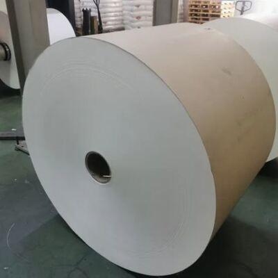 comprare Coppe di carta rivestite in PE a doppio lato impermeabile Materia prima Fabbrica all'ingrosso Coppe di carta impermeabili Personalizzate Bevande di qualità alimentare Ventilatori di coppe di carta online manufacture