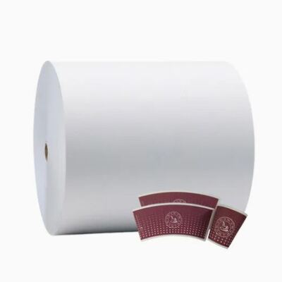Buy Custom Printed 1-7 Various Colors Paper Cup Roll with Single PE Coated OEM ODM Acceptable online manufacture