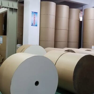 kaufen Hochwertige kundenspezifische Doppelwand-PLA-beschichtete Papierrollen zur Herstellung von Kaffeetassen in verschiedenen Größen online manufacture