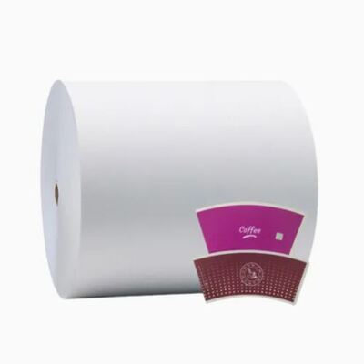 kupować Podwójny papier ścienny, kubek papierowy, rolka z PE, biodegradowalny. online manufacture