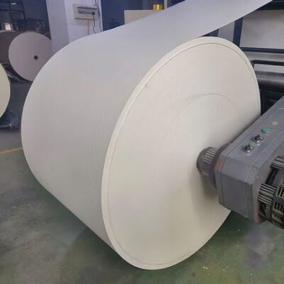 acheter Matériau imprimé en rouleau de papier recouvert d'un seul PLA pour tasses en papier pour boissons à base de café et de thé online manufacture