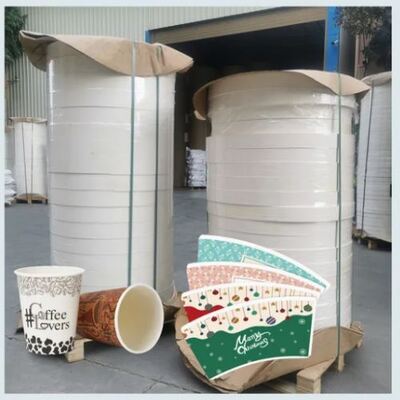 Buy Eco Printed 8 12 Oz Ice Disposable Drinks Design Double Wall Blanks Dessert Jelly Coffee Milk Tea Paper Rolls With PE PLA Coating online manufacture