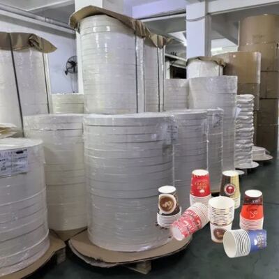 satın al 8oz 10oz 12oz Plastiksiz Kaplama Sıcak ve Soğuk İçecek Kağıt Kupa Alt Rulo online manufacture