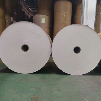 खरीदें वर्ग ए पीएलए लेपित कागज रोल कागज कप के लिए मुद्रित और कट कागज रोल online manufacture