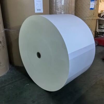 comprar Papel descartável de 4 oz de café com parede revestida de PLA duplo online manufacture