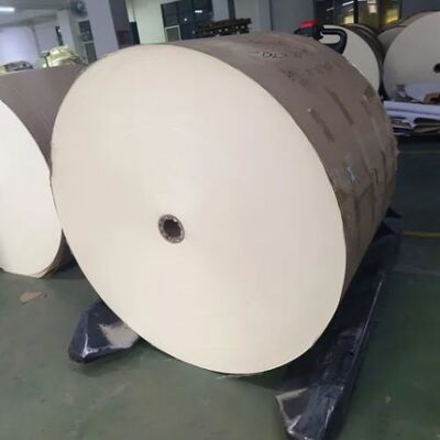 Beli 8OZ Offset Printing Paper Roll For Coffee Paper Harga Pabrik Dengan Single atau Double PLA Coated online manufacture