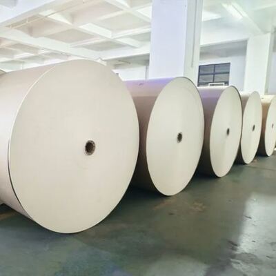 ซื้อ น้ําดื่มร้อนที่ไม่มี BPA สะอาดต่อสิ่งแวดล้อม การออกแบบโลโก้ตามสั่ง online manufacture