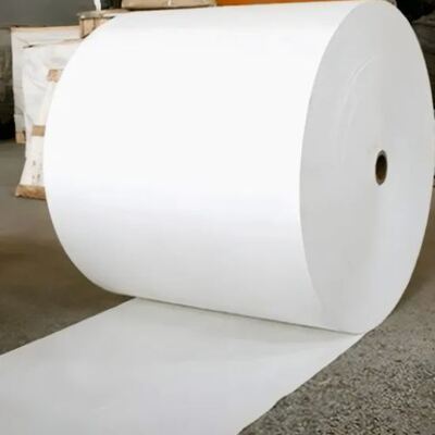 kopen Raw Materials Double-sided PLA Coated Paper Roll voor 1-7 kleuren Verscheidene wegwerppapierbeker online manufacture