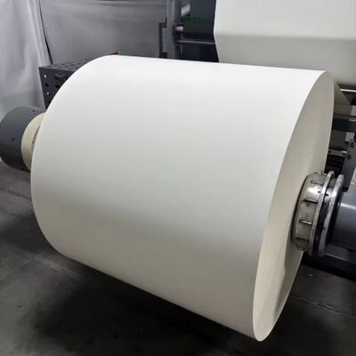 Mua Cà phê giấy cuộn bong bóng cho trà uống nóng với một hoặc hai PLA phủ tường chống nước online manufacture