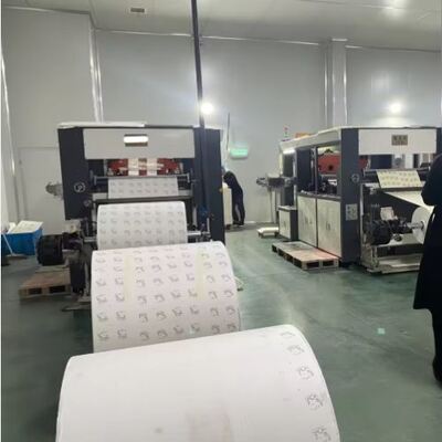 kupować Zastosowalny rozmiar Środowiskowo przyjazne opakowania żywnościowe PLA powlekane rolki papierowe do kubków papierowych Jednorazowe opakowania szybkiego jedzenia online manufacture