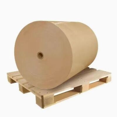 خرید Flexo Printing Custom Logo Disposable Kraft Plain Paper Roll Hot or Cold Beverage Coffee Cups برای نوشیدن online manufacture