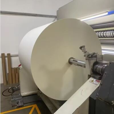 kopen Voedingsmiddelen PLA Custom Kraft Paper Roll Raw Material For Various Use Wegwerppapierbekers online manufacture
