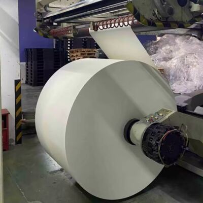 acheter Grade alimentaire résistant à la graisse Papeterie enduite PE jetable en rouleau 100% biodégradable 1 à 7 couleurs Acceptez résistant à l'eau online manufacture