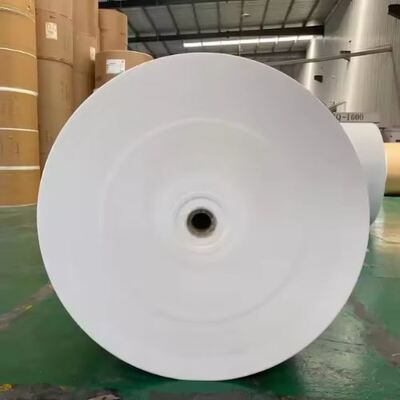 comprar Fuente Precio al por mayor de fábrica Disponible PE Revestido de papel de papel de papel de papel de la taza de la materia prima de China online manufacture
