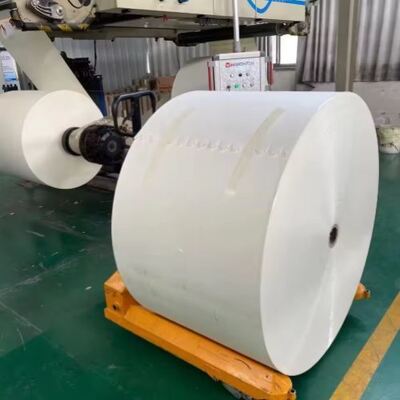 주문 Factory Wholesale Food Grade Cupstock Paper Die-cutting White PE Coated Paper Roll No Print online manufacture