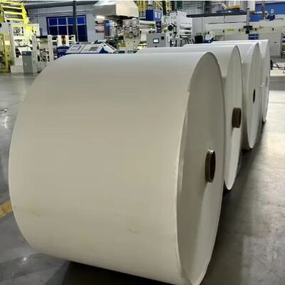 Mua Cuộn giấy cốc tráng PLA Chống thấm nước Chống dầu Nguyên liệu thô giấy cốc Một hoặc hai lớp PLA Cuộn giấy cốc dùng cho đồ uống nóng lạnh online manufacture