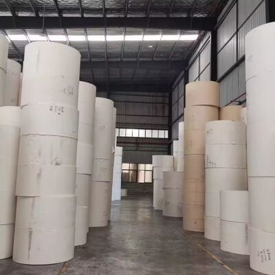 Buy Hot Sale Eco-Friendly Cup Paper PLA Coated 1-6 Colors Paper Roll Single and Double Side Coated Made From Virgin Wood Pulp online manufacture