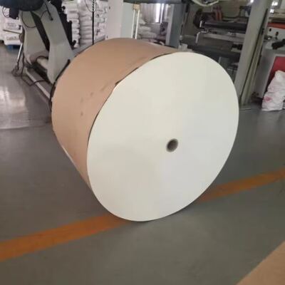 satın al Biyobozunur Tek Tarafı PLA Kaplı Kağıt Bardak Ruloları 200 220 240 GSM Tek Taraflı Sıcak Satış Gıda Sınıfı Kahve Bardak Ruloları online manufacture