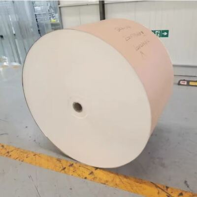 acheter Rouleau de papier pour machine à gobelets - Fourniture d'usine - Matière première polyvalente pour machines à gobelets et à bols en papier online manufacture