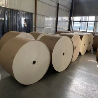 Buy Chinese Warehouse Produces Disposable PLA Single Wall Coated Cup Paper Customized Printing Die-cutting Paper Roll online manufacture