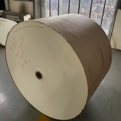 comprare Rotolo di carta bianca patinata PLA ecologica per la produzione di materia prima per bicchieri di carta biodegradabili al 100% online manufacture