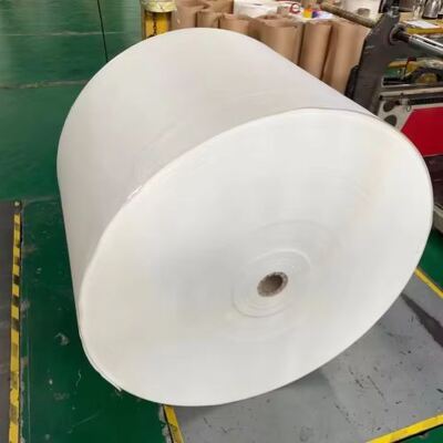 kopen Custom High Quality Cup Paper Roll Fabrikanten Double Wall Raw Materials PLA Customized White Paper Food Fastfood Meeting Recyclebaar online manufacture