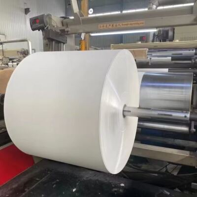 Buy High Quality White Laminated Paper Roll for Cup Making Factories Factory Direct Hot Selling Wholesale online manufacture