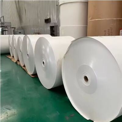 kupować Papierowa rolka jednorazowa OEM, dostosowany rozmiar, logo i styl, papierowa rolka do kubków do kawy na gorąco i zimno, misek i opakowań na żywność online manufacture