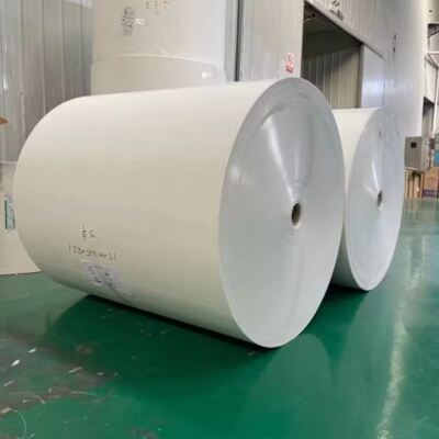 comprar Copo de café de papel descartável com revestimento PLA de um lado para bebidas Modelo Rolo de papel compatível com impressão offset online manufacture