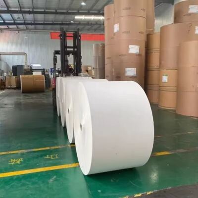 kupować Jednorazowa ściana PLA powlekana jednorazowa rolka papieru do gorącej kawy makarony dla zwierząt domowych Jednorazowe mleko dostosowywalne online manufacture