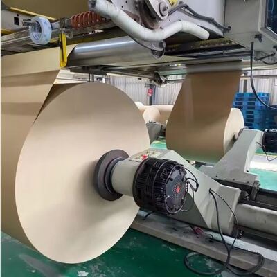 kopen Waterdicht, vetdicht, eenzijdig PLA-gecoat papieren koppenpapier voor drankpapierrol grondstof online manufacture