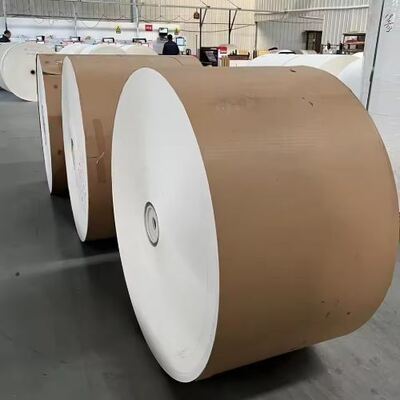 comprar Tazas de papel de café para llevar de fábrica Directas materias primas desechables Impresión personalizada PLA recubierto para 2 oz 8 oz 10 oz 12 oz embalaje de alimentos de papel online manufacture