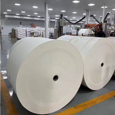 Mua Nhà sản xuất Trung Quốc Mẫu giấy chống nước chất lượng tốt 190gsm 210gsm 300gsm Mẫu giấy phủ PLA đơn hoặc đôi cho đồ uống nóng online manufacture