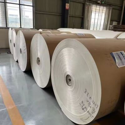 kaufen Fabrikpreis Papier Roll Rohstoffe für Taschenherstellung Maschine 4oz 6oz 8oz Lebensmittel-Grade und Papier Tasse Ventilator Die Cut Paper Roll online manufacture