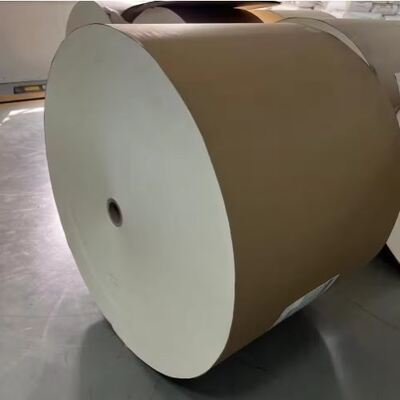 comprar Rolo de papel ecológico para bebidas e alimentos de grau de isolamento térmico monolateral revestido com PLA online manufacture