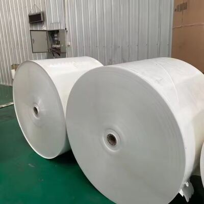 購入 Multi-Color Paper Roll Waterproof Biodegradable 100% Virgin Wood PulpWith Single Coated PLA Coating Side Make Paper Cups online manufacture