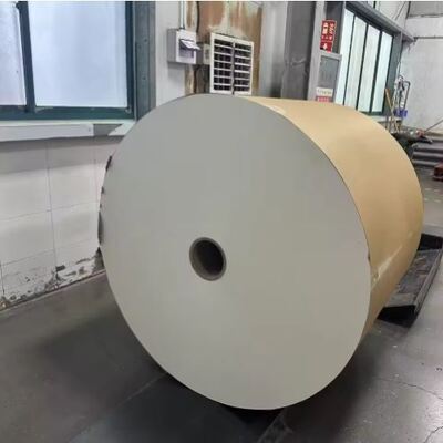 주문 PE 코팅 된 종이 롤 우수한 방수 및 지방 저항 성능을 제공합니다 online manufacture