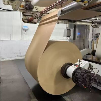 comprare Rotolo di carta patinata PE che offre eccellente stampabilità e proprietà di barriera all'umidità online manufacture