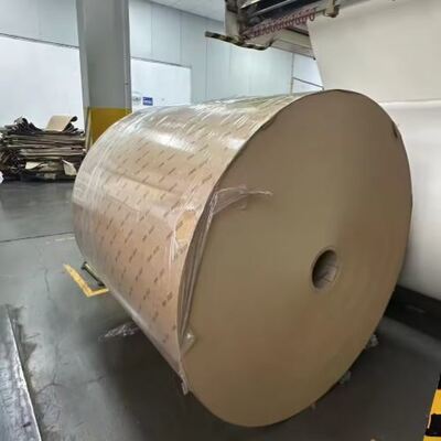 Beli Gulungan Kertas Dilapisi PE yang Dapat Dikompos dengan Ketahanan Minyak yang Sangat Baik online manufacture