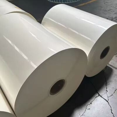 buy PLA Coated Paper Roll Suitable for Disposable Tableware and Food Packaging Applications online manufacture