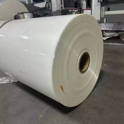 kaufen PLA-beschichtete Papierrolle 190g 210g biologisch abbaubarer Einweg-Papierbecherrolle online manufacture