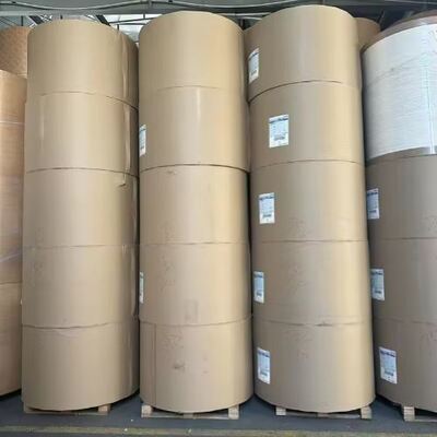 acheter Matériau biodégradable compostable en rouleau de papier revêtu de PLA à une ou deux faces online manufacture