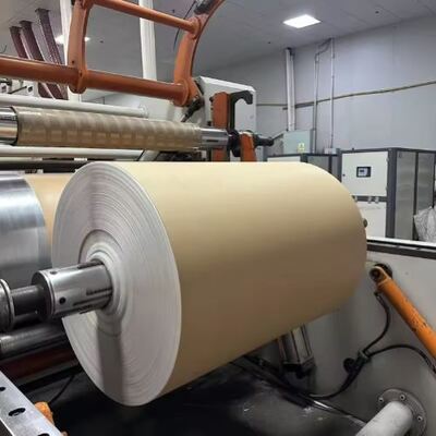 comprare Dimensione personalizzata PLA rivestito carta roll resistente all'olio singolo doppio lato rivestimento online manufacture