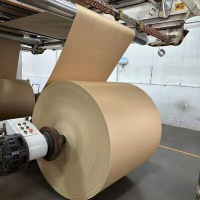 Mua Cuộn giấy tráng PLA chịu dầu cao thích hợp cho ly giấy phân hủy sinh học online manufacture