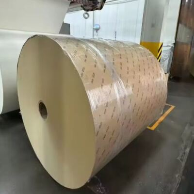Mua Cuộn giấy tráng PLA bền vững được thiết kế để nâng cao diện mạo sản phẩm online manufacture
