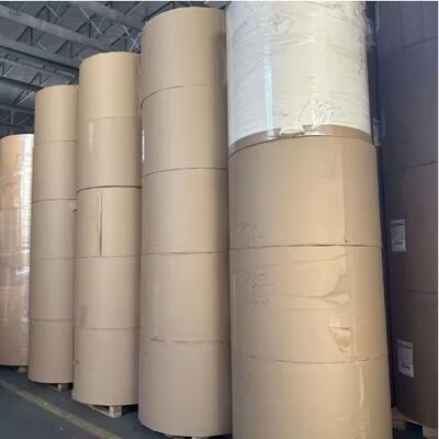 buy Biodegradable PLA Coated Paper Roll Suitable for Hot Cold Drink Cups online manufacture