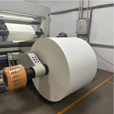comprare Rollo di carta rivestita in PLA impermeabile con elevata resistenza all'olio FSC online manufacture