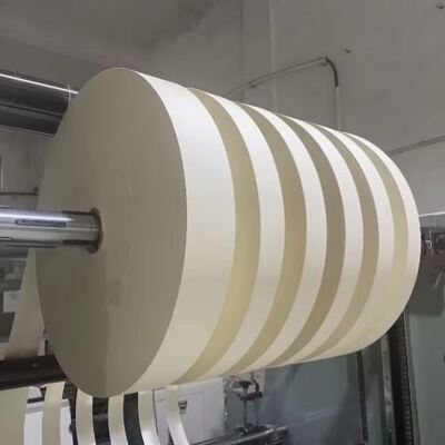 comprare Coppa di carta fondo rotolo 100% pasta di legno materia prima PE rivestito impermeabile greaseproof online manufacture