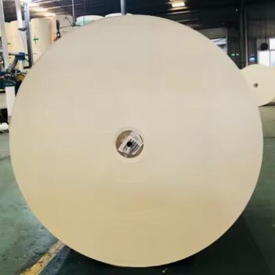 Mua Cuộn giấy bọc PE được in tùy chỉnh được thiết kế cho các thùng chứa đồ uống chất lượng thực phẩm online manufacture