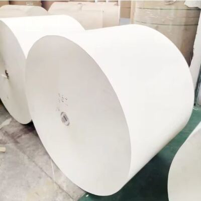 comprare Rulli di carta rivestiti in PE con rivestimento a una o due facce, adatti alla stampa a olio online manufacture